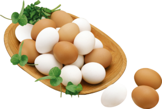 蛋类 蛋 鸡蛋